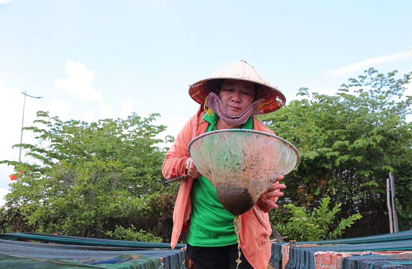 Read more about the article Chuyện kỳ diệu về nữ nông dân thoát nghèo nhờ ao cá, đổi từ nhà “lá” sang nhà “villa”